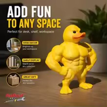 Home Gym Designs - Muscular Duck Statue - Funny Gym