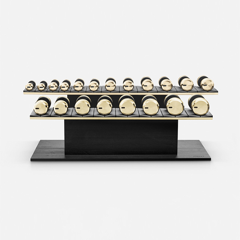 Dumbbell set, high-end private - đánh giá và giá Home Gym Equipment Set