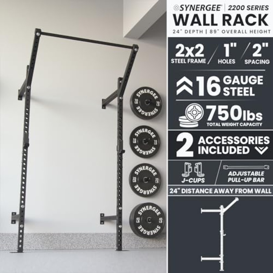 Wall Mounted Squat Rack for ho - đánh giá và giá Home Gym Pull Up Bar
